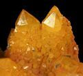 Sunshine Cactus Quartz Crystal - South Africa #98381-1